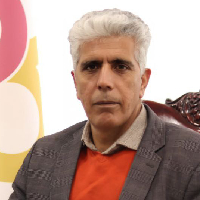 مرتضی برجی